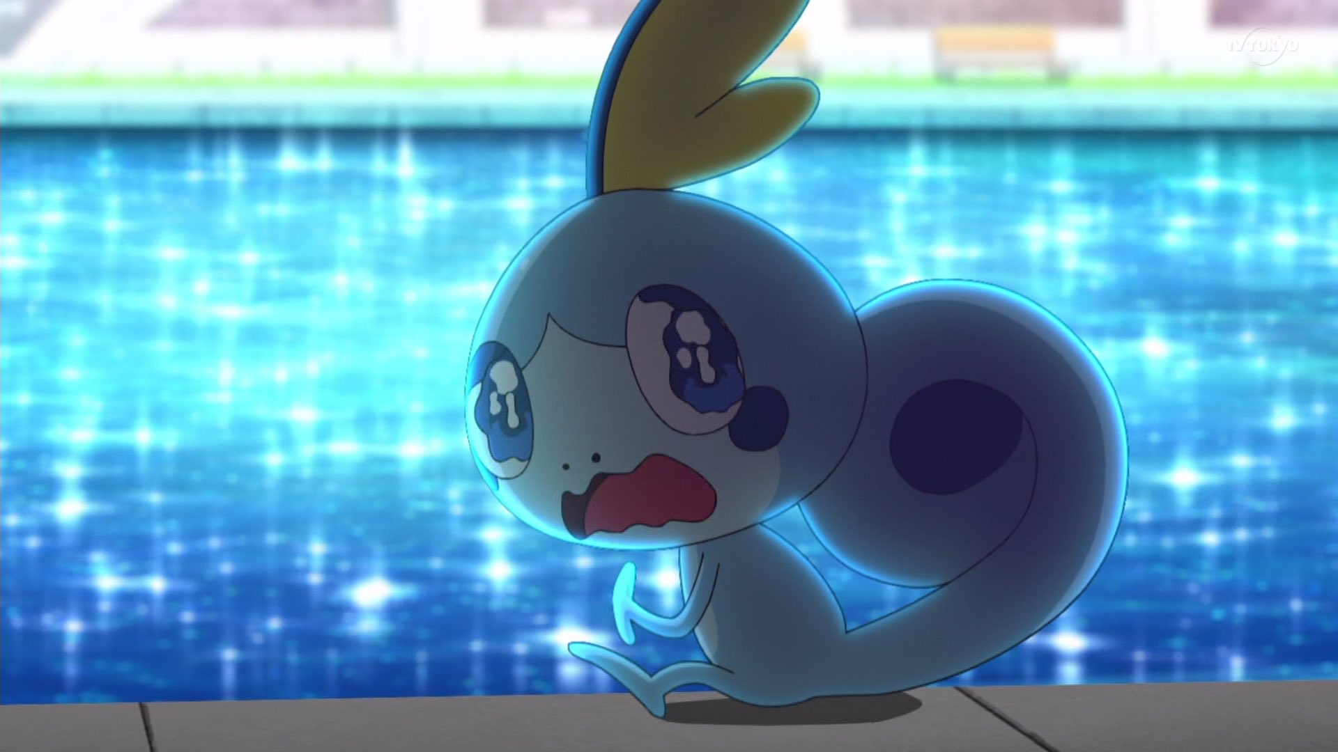 しんご 泣き虫のメッソンめっちゃ可愛い アニポケ T Co Gmoapltcqw Twitter