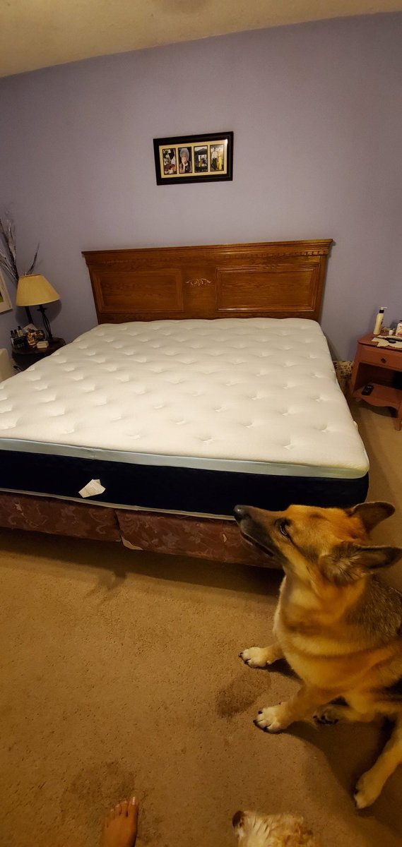 F3inGoderich's tweet photo. Always learning and still amazed that this king mattress came rolled up! #watchitrise #galaxymattress #canadianmade #hellosleep https://t.co/A129YC8knD