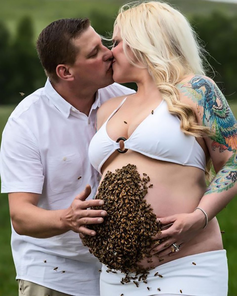 Снес с беременными sex
