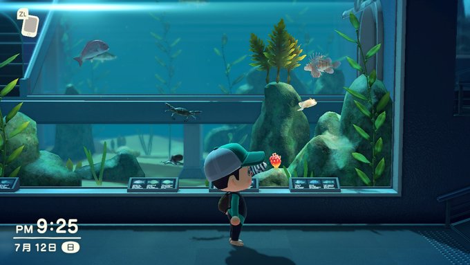 パラヘリコプリオン Wdt04 年07月 Twilog