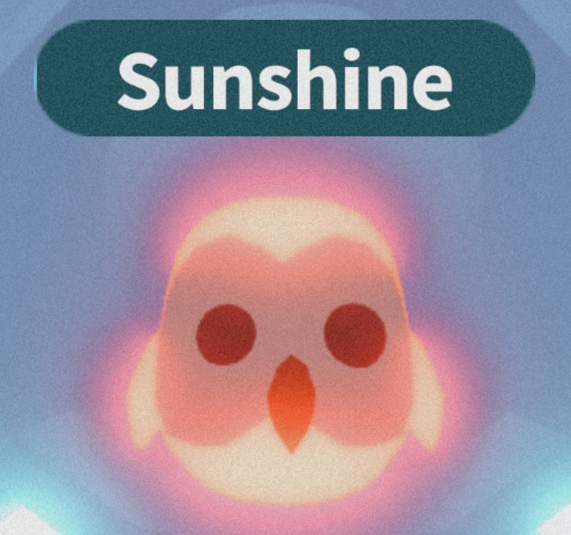 robloxgqamer's tweet photo. Offers for my neon fr owl? Lf: other neon legend/s. Nlf: robux. 🦉💫 #adoptme #roblox #adoptmetrading #games #trading #rh #ap #adoptmepets #adoptmetrades #neonowl #neonlegendary #sunshine #bethink #adoptmeoffers #newfissy #robloxgaming #adoptmeroblox #robloxadoptme #adoptmedeals https://t.co/PWMxhSq5Np