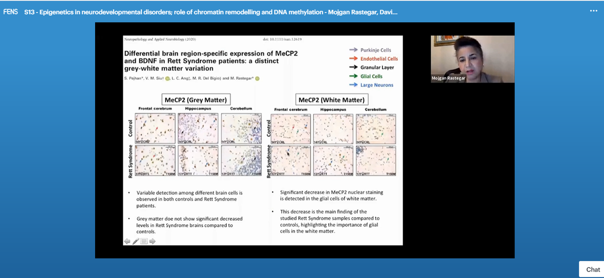 So excited to hear talk about #Rett syndrome at #FENS2020! Very interesting research presented by Mojgan Rastegar.

¡Qué emocionante escuchar hablar sobre el síndrome de #Rett en el congreso virtual #FENS2020! Interesantísima investigación presentada por Mojgan Rastegar.