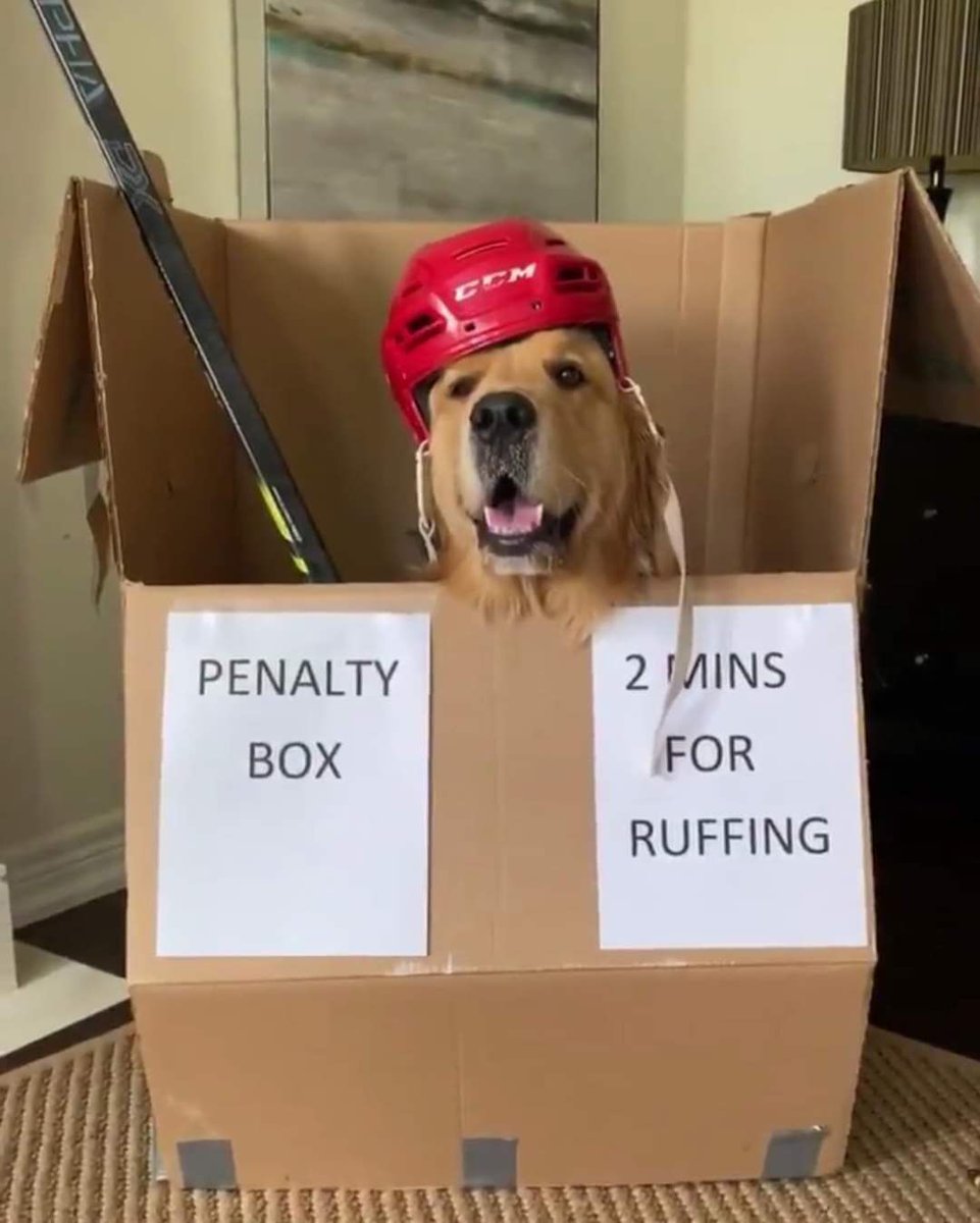 nhlchirpz's tweet photo. https://t.co/jRa3aDjgKl