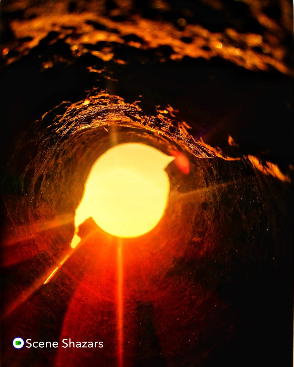 SceneShazars's tweet photo. Red Hot Sun picture through this circle
#sceneshazars
#photography 
#sun https://t.co/Ohfdn7wKnz