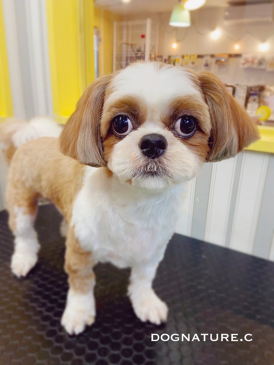 Cちゃん♪本日のご来店ありがとうございます♪