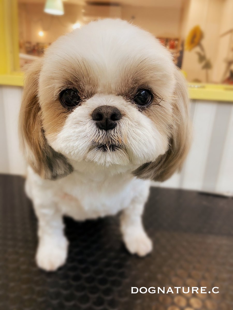 Cちゃん♪本日のご来店ありがとうございます♪