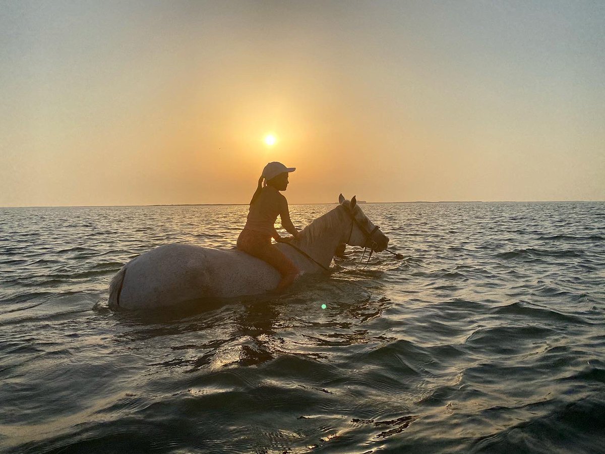 #swimming with a #horse #horseriding #dreams #water #beingeight #kenza #mydubai @HorizonDubaiUAE @khda keeping busy during summer break. #newactivities