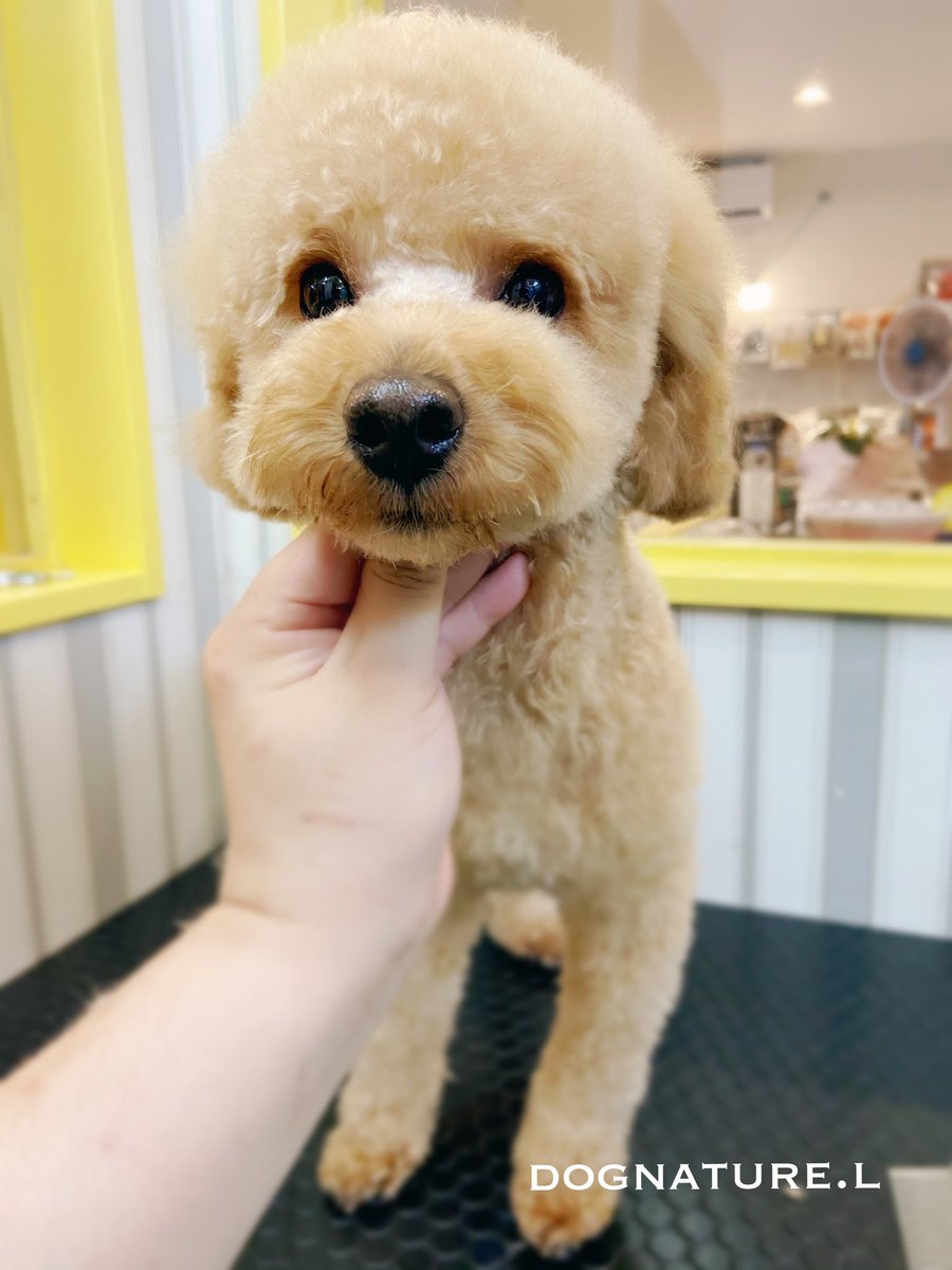 Lちゃん♪先日のご来店ありがとうございます♪