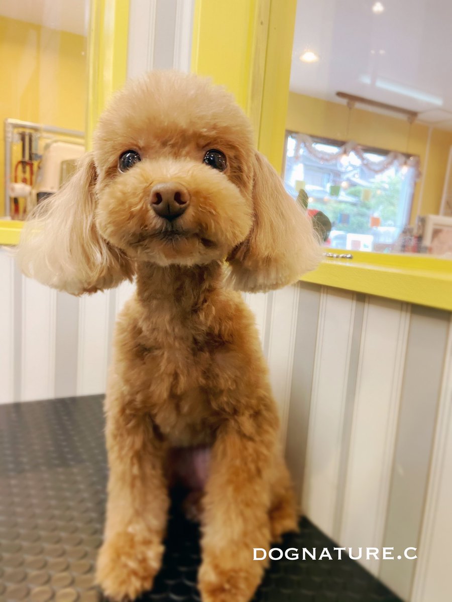 Cちゃん♪本日のご来店ありがとうございます♪