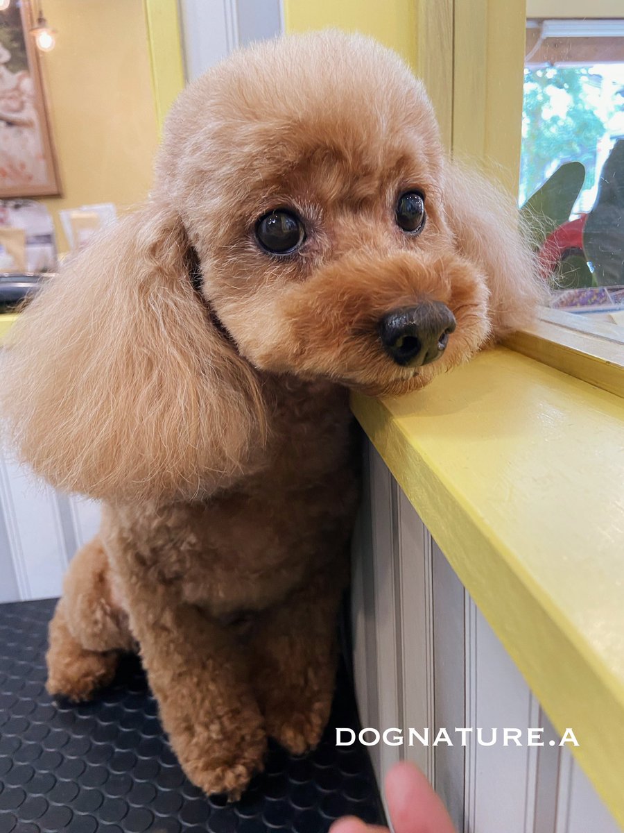 Aちゃん♪本日のご来店ありがとうございます♪