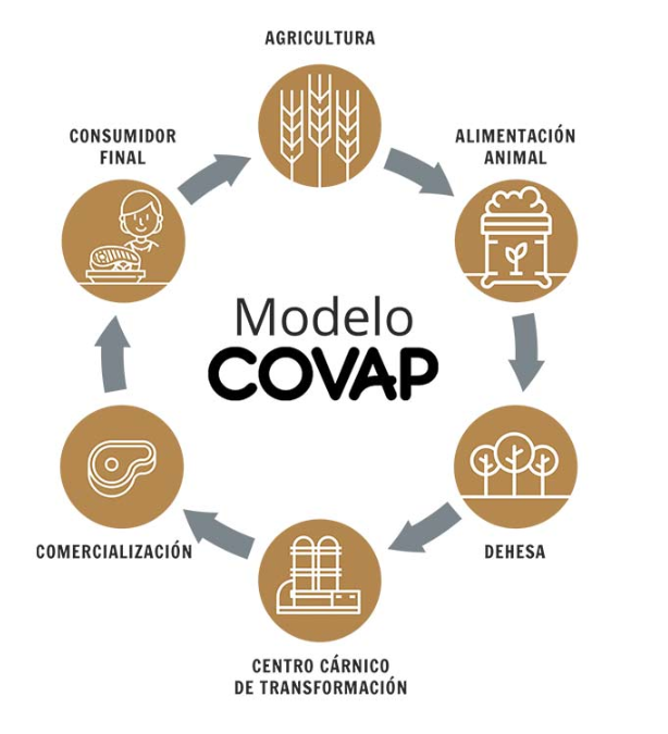 Covap's tweet photo. El #ModeloCOVAP es un modelo agroalimentario sostenible enfocado al consumidor que abarca todos los eslabones de la cadena de valor: agricultura, alimentación animal, ganadería, industria y comercialización.
Conócenos👉🏻https://t.co/4AULgCDYEP
#CarnesCOVAP https://t.co/syaYK2TxJE