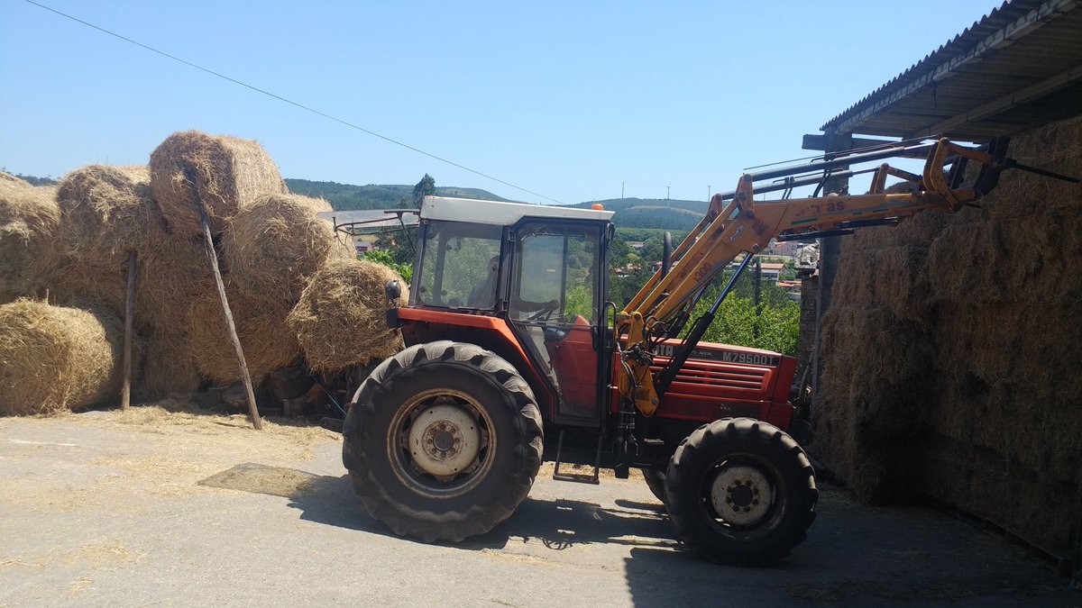 truitin's tweet photo. #botando o amontonando las pacas de hierba seca. Luego... https://t.co/ayjTGocLBl