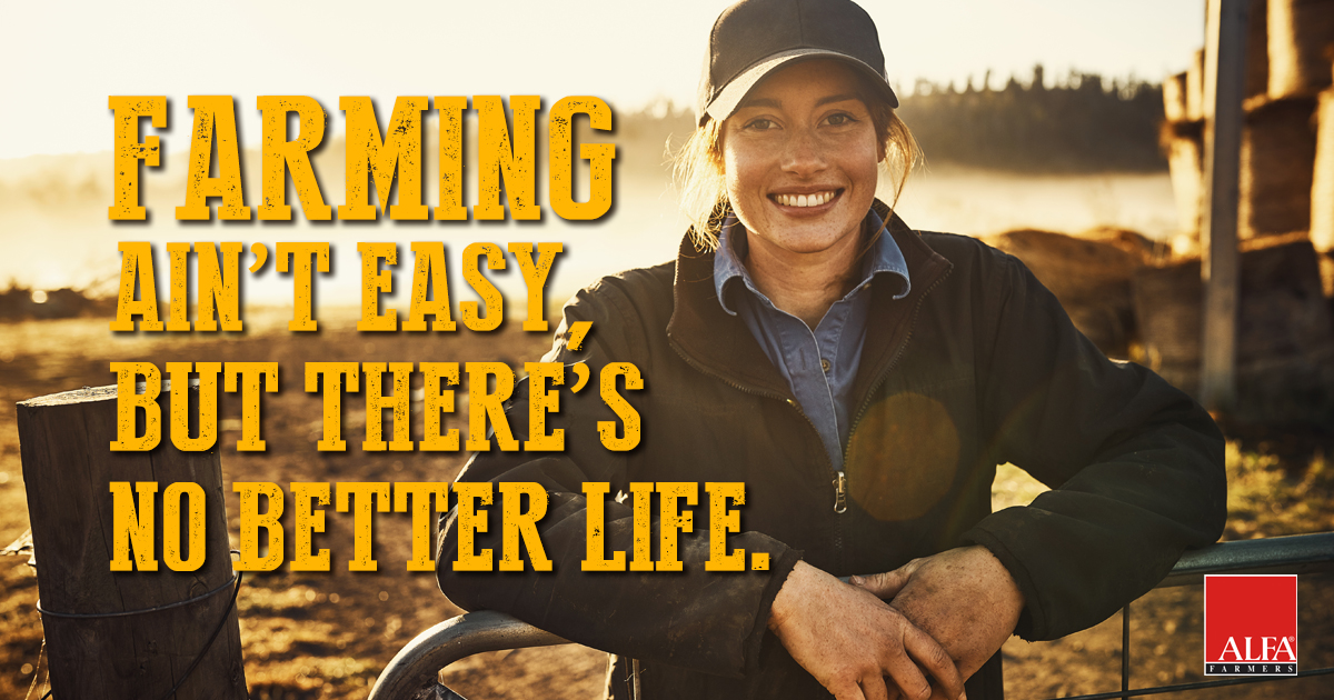 AlfaFarmers's tweet photo. Can we get an amen? https://t.co/7Hkz8W67or