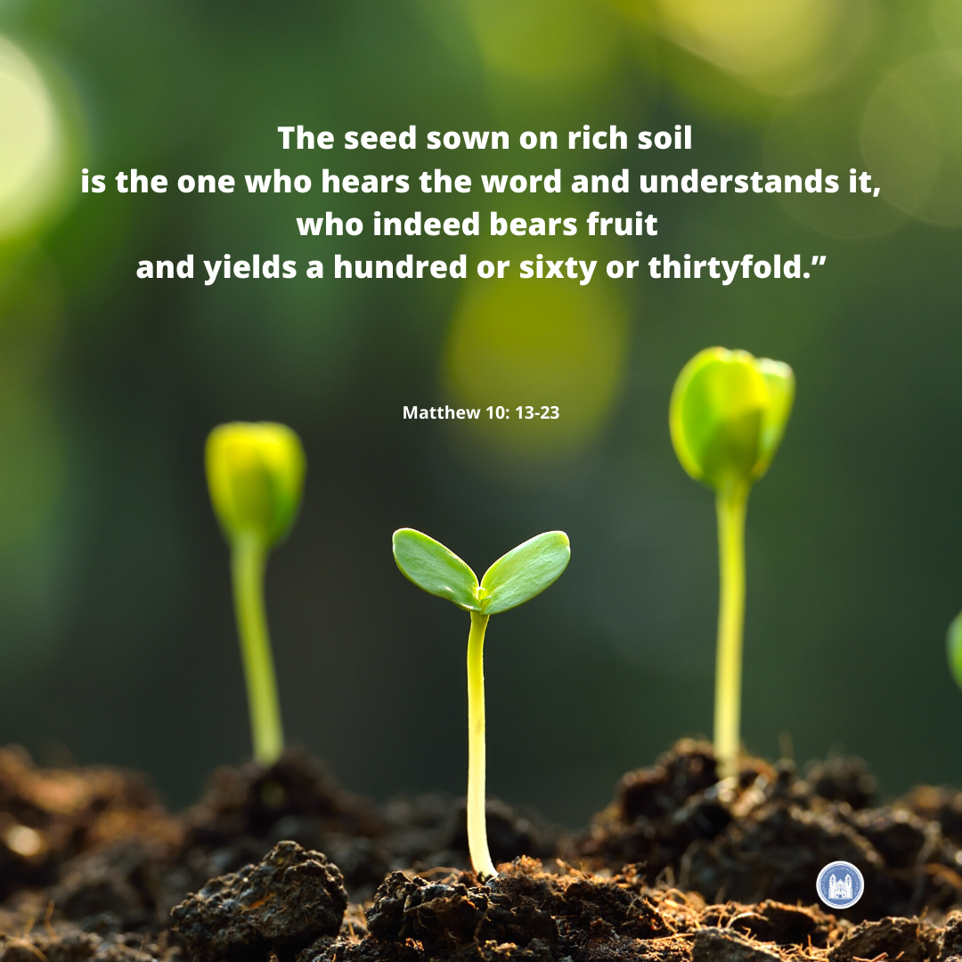 St Michael Livermore tweet media