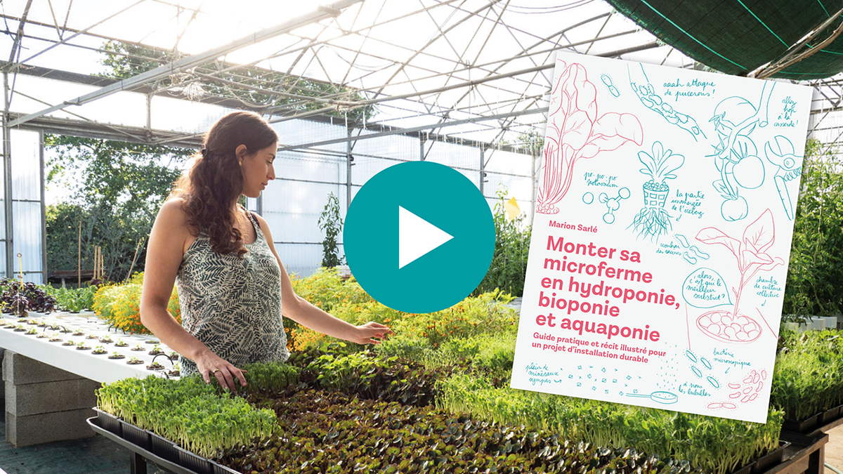 lessourciers's tweet photo. Hey, vous avez-vu la vidéo de présentation du projet et du livre ?➡️ https://t.co/EEbfleuNAw

Précommandez-le ici : https://t.co/DGsrUi6rSx

Vidéo réalisée par @Cha_Jacquet et Alexandre Asmodé de l'Agence Créative #OiseauBondissant.

#livre #hydroponie #bioponie #aquaponie https://t.co/1ImGvQhe7Q