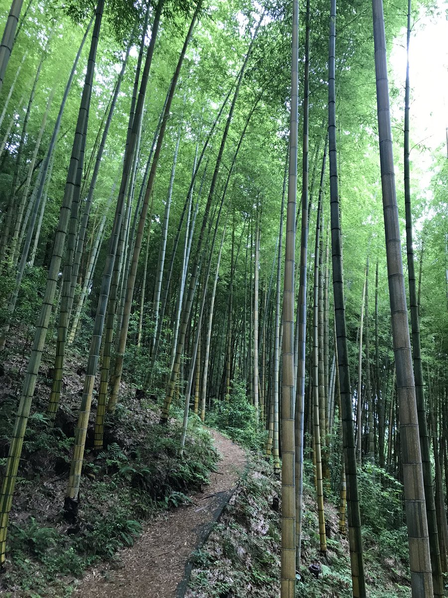 大分県野津町 大分県野津町