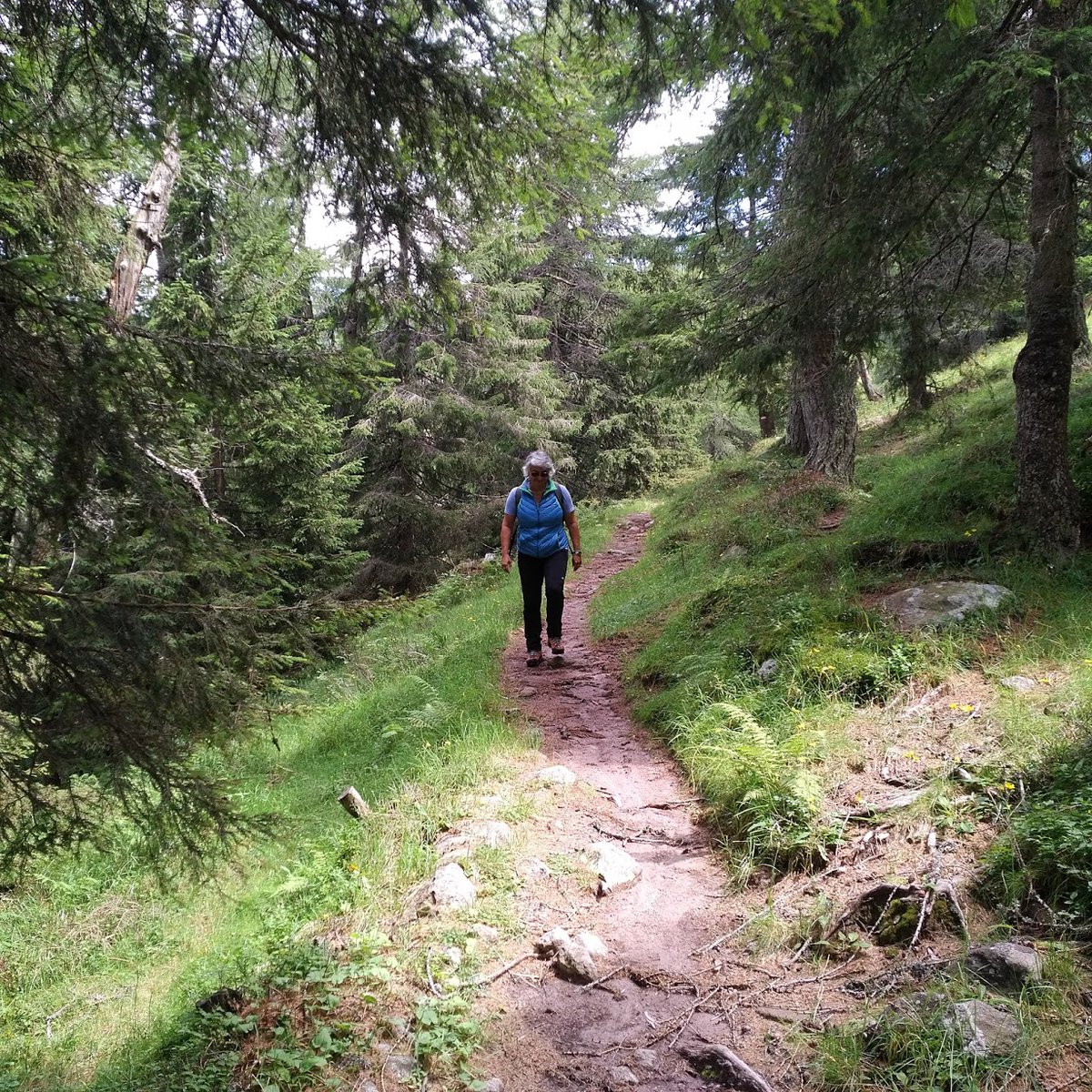 GallozziMrita's tweet photo. Necessario per camminate in montagna: una meta, un paio di scarponi, una borraccia d'acqua, un pò di pensieri e.. e....boscaioli che ti offrono un caffè con la moka quando ti vedono...
#valgrigna #andarperboschi https://t.co/qsIjNh1wOB