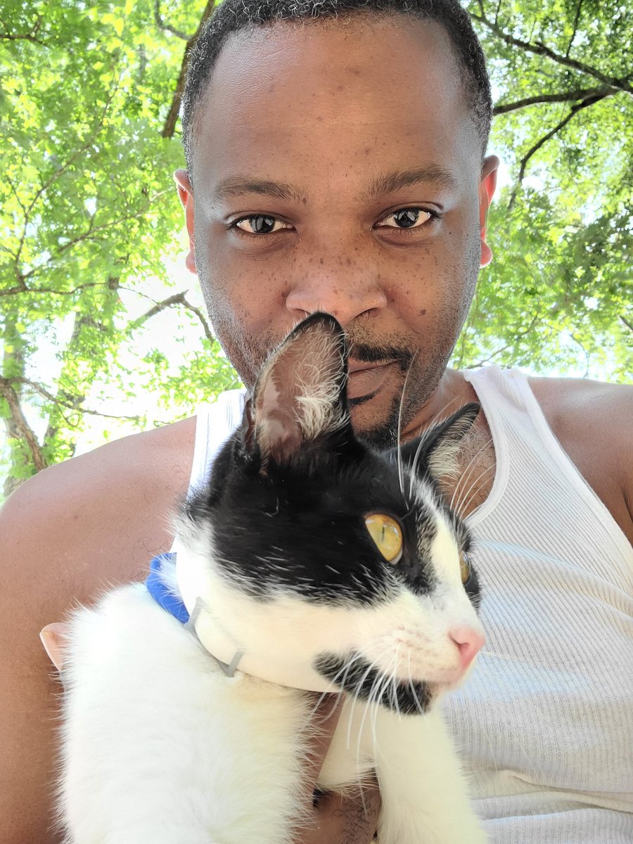 UrichWilliams's tweet image. I'm sad. My calico cat has been missing for a week. I fear we have lost him to something in the woods behind my house. So my pack is now just Arthur and PB. And we're going to avenge our mate. 

They're not pets, we're pack. 🖤x3