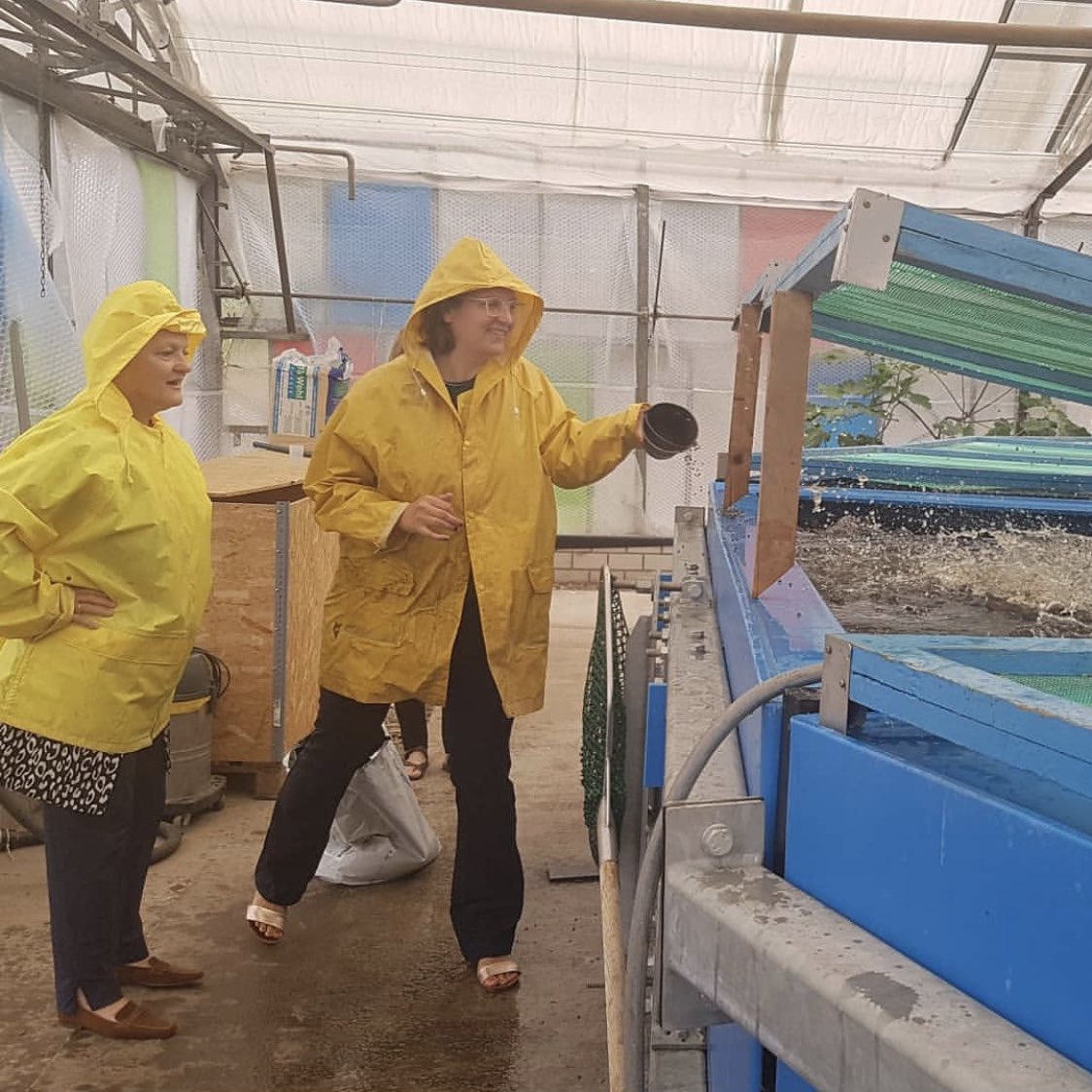 Silke Gebel looking at Fische

Quelle: Instagram von Silke Gebel