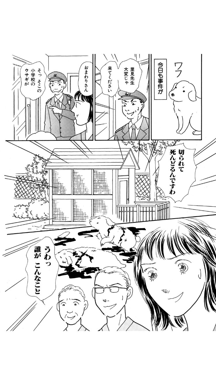Aer 週刊女性で連載中のハートのしっぽというマンガを長年読んでいて もうすぐ終わるとあるのでいつから連載してたか検索してるがどこにも出てこない 今週751話で休載期間もあったからおそらく16年以上やってるはずだが この話続く T Co