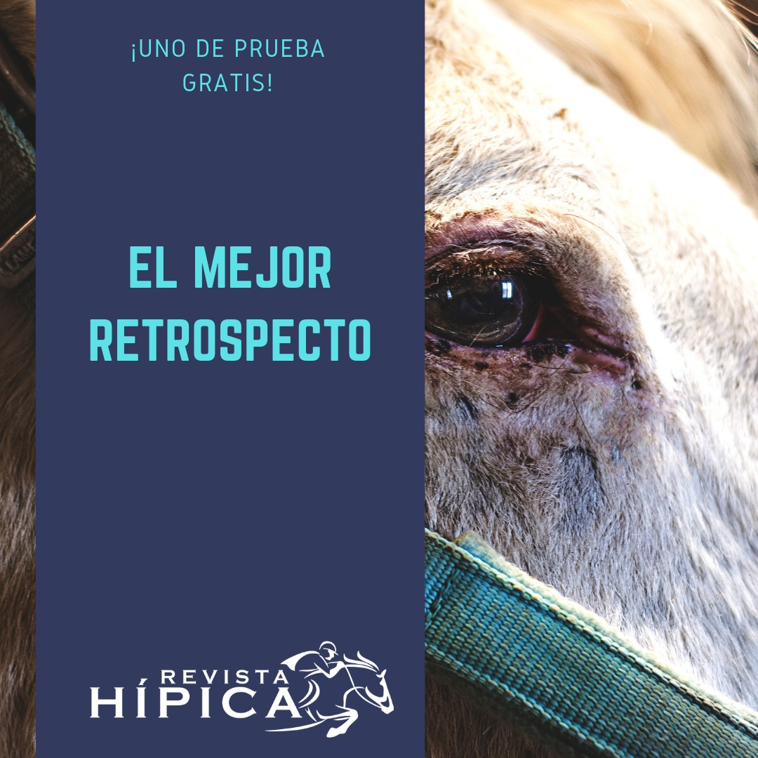revistahipicaof's tweet photo. #Retrospectos/#Programas(#PP´s) con pronósticos
(Oro y Platinum) en español #GRATIS 
  
Domingo 12 de Julio
@MonmouthPark
  
Lunes 13 de Julio
#FairMeadows @Tulsaexposquare

https://t.co/Ev2Z9NSgvf
- Botón "Prueba Gratis"
- Dar tu correo
- Botón "Descargar productos en promoción" https://t.co/xOe8AvCjGP