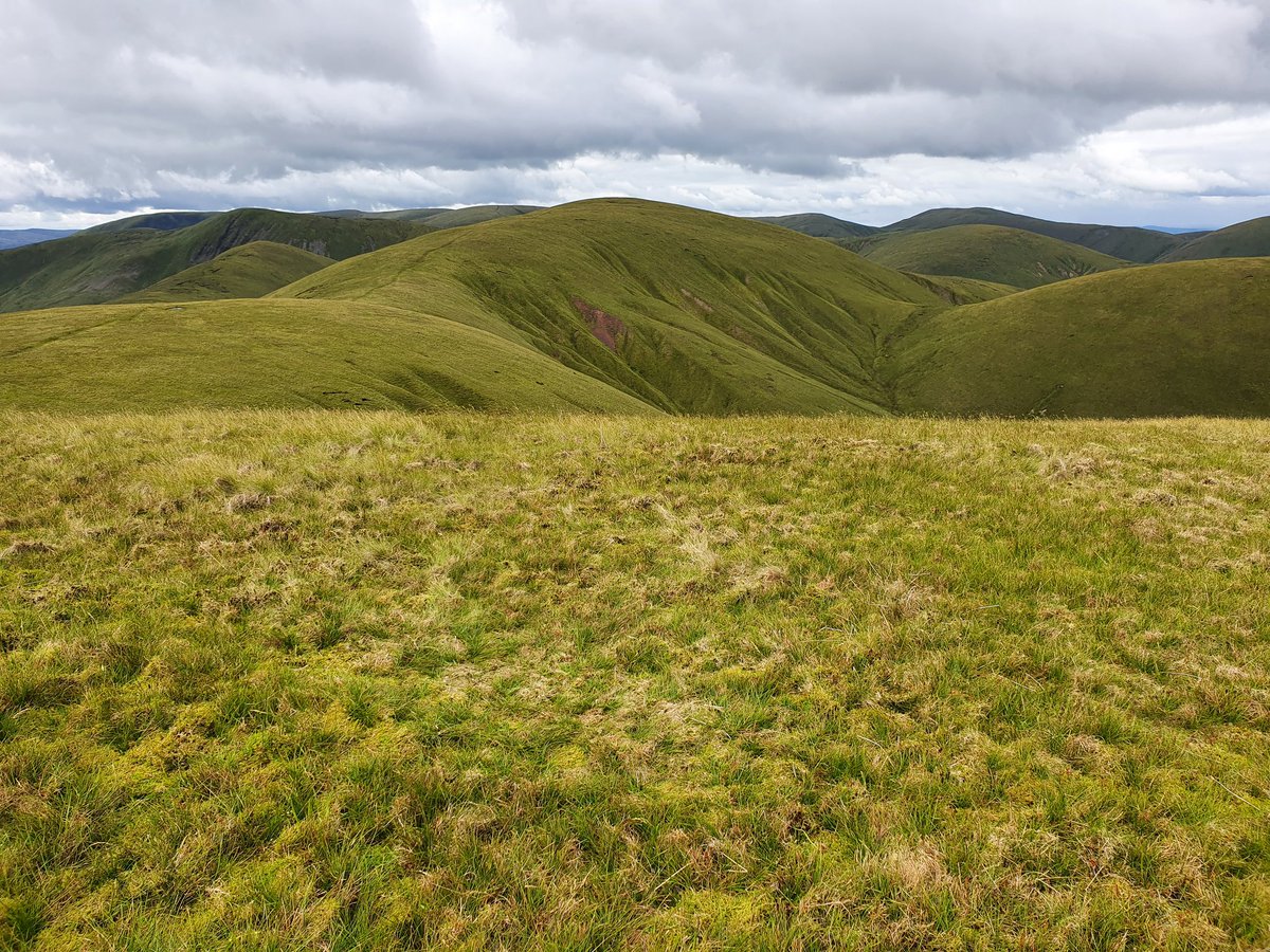 bpackingbongos's tweet photo. This is how I left each of my three campsites in the fells this weekend, nothing but a small patch of flattened grass. If you choose to camp away from a campsite there should be no evidence when you leave. Really easy to do unless you're a childish knuckle dragging arsehole 😉 https://t.co/cLxLjwSAk2