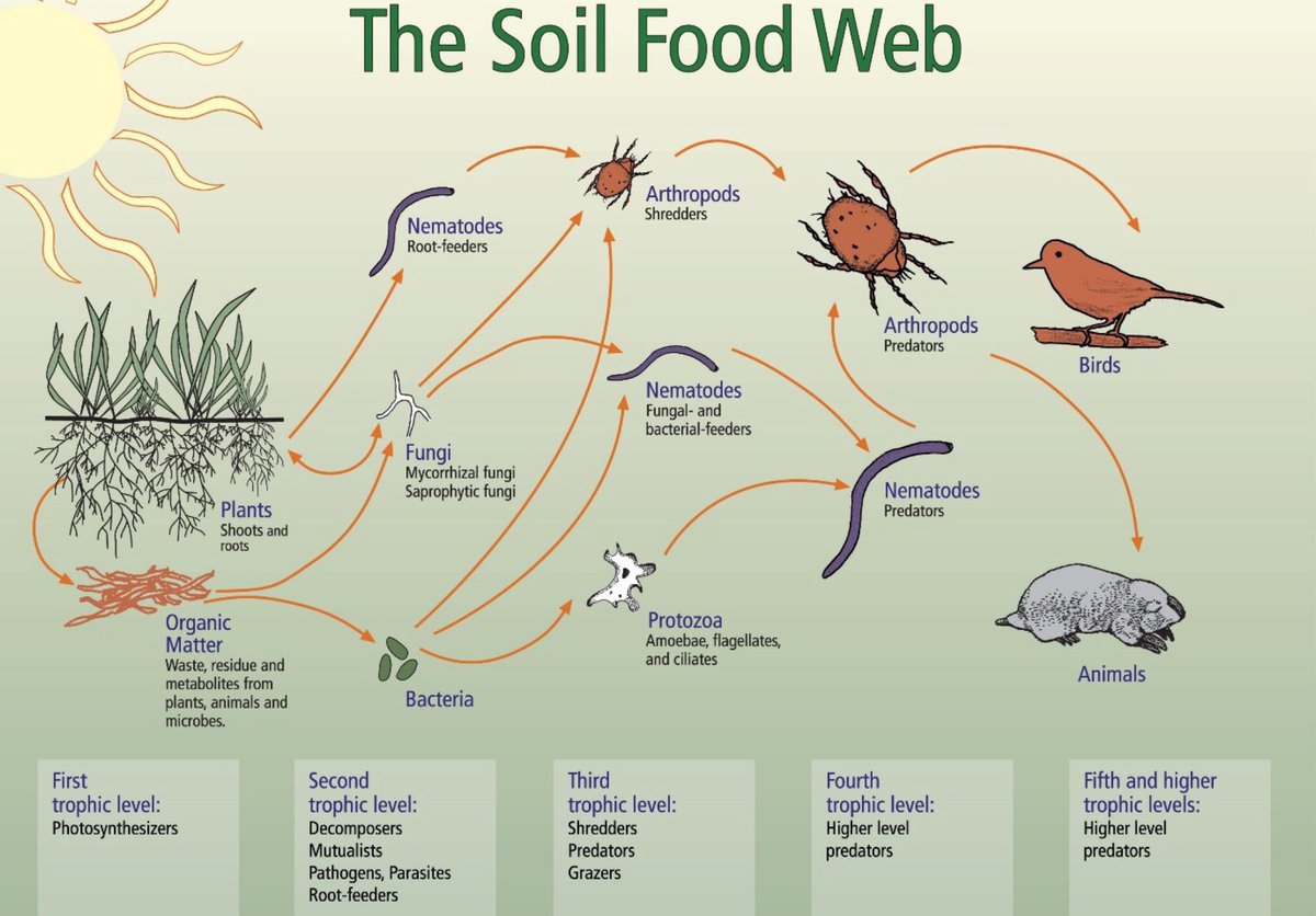 Research repeatedly shows that precision farming with a minuscule use of extremely safe molecules like glyphosate (using a coffee cup size of that chemical per football field sized farm) promotes biodiversity within the farm, ensures soul health
