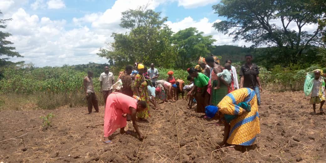 crafteastafrica's tweet photo. The story of Zainab Mbabazi, host farmer Mugo A. demo garden, Rwibale Farmers Group in Kyegegwa District

"Before the lockdown, we received seeds from OKEBA Uganda. We opened this demo garden and received training on seed growing facilitated by OKEBA at the learning center https://t.co/K3NiXu3AXD