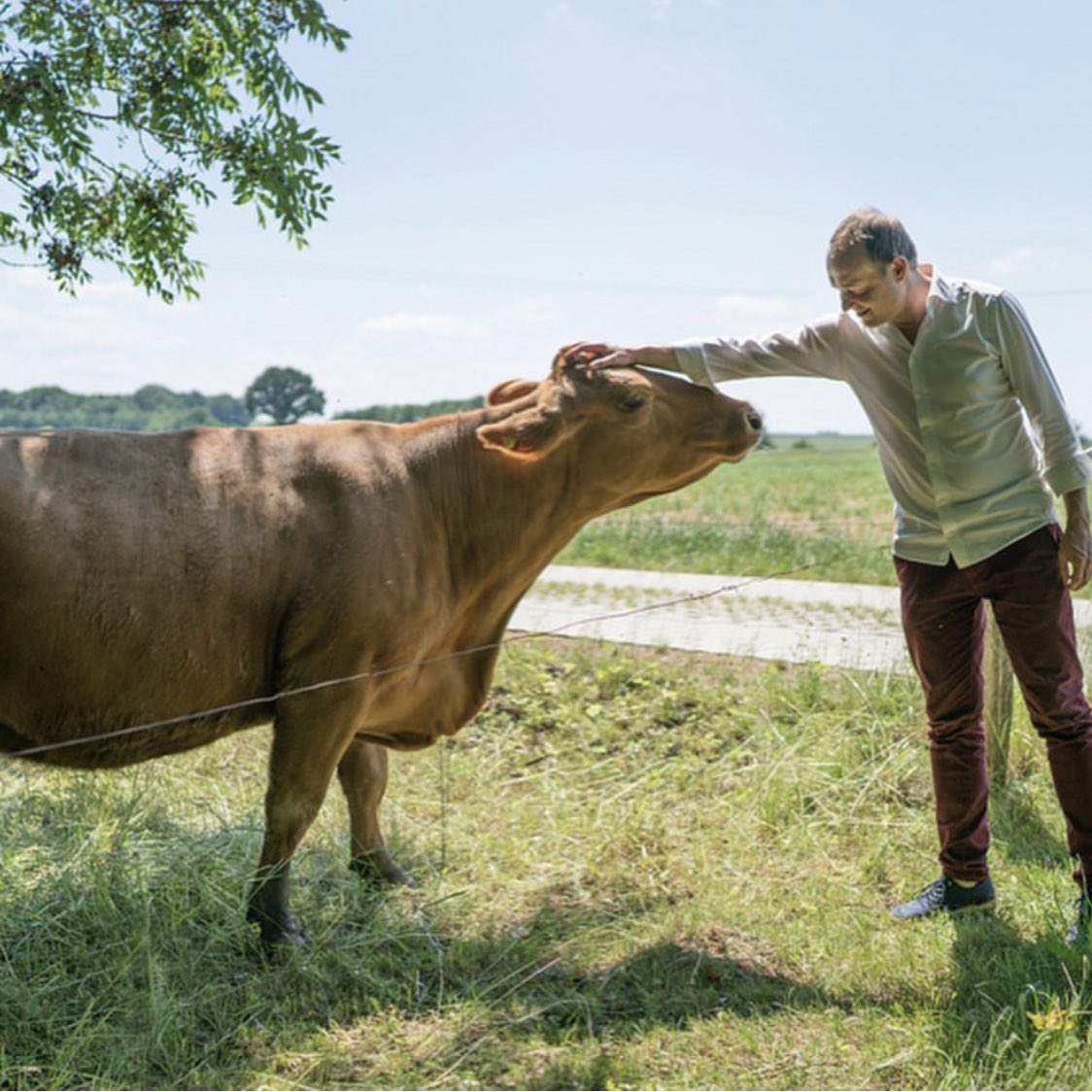 Wolfram Günther looking at Kuh

Quelle: Instagram von Katja Meier