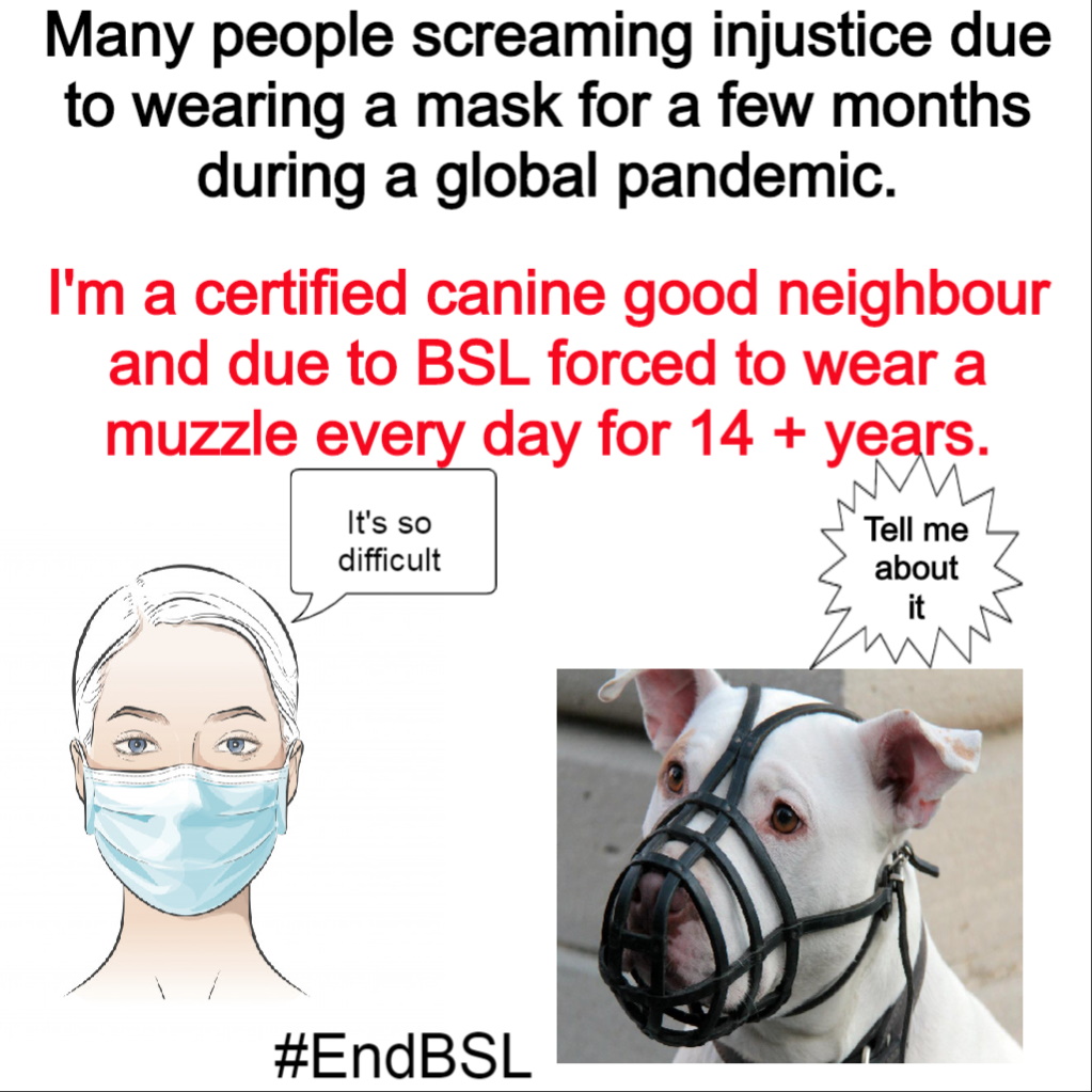 Fayclis's tweet photo. .@fordnation #onpoli #PCPO #ONDP It's time that laws that discriminate and profile people and pets to be removed in #Ontario. #COVID19 #EndBSL #SupportBill147 #facemask #facemasks #EndTheBan #SupportBreedNeutralLaws #DropTheLabels https://t.co/vmvj9lCSCI