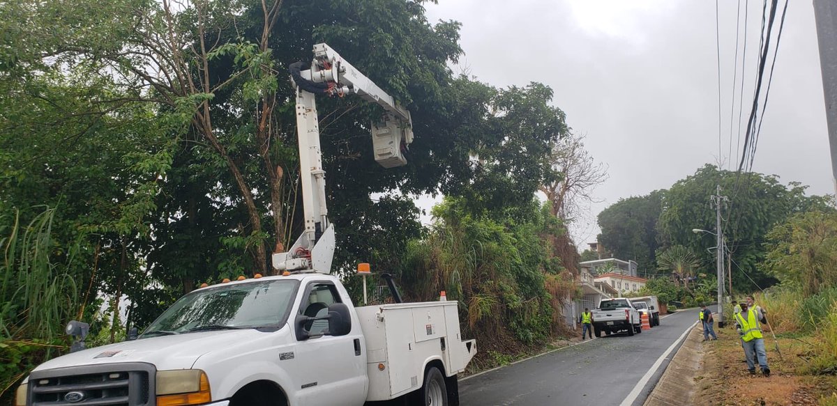 ramonluisrivera's tweet photo. Continúan las brigadas de Manejo de Emergencias, Reforestación y Ornato y Protección Ambiental con la limpieza de vías y poda de árboles como parte del plan de mitigación ante la temporada de huracanes. Hoy domingo se encuentran en la carretera 816 y 812. https://t.co/p0mBQf4yny