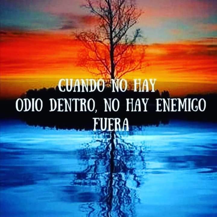 pzarlenga3's tweet photo. https://t.co/mScDt2my7m