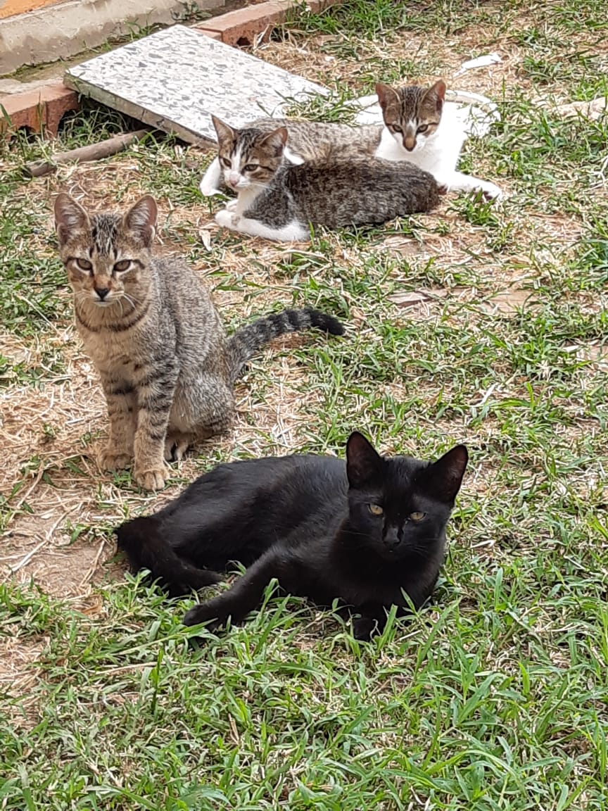 UserInuser059's tweet image. Que buenos días 😁
@MaraRWat @Mimi_Kings @emroleon @MarleneGG_ @Anamuiz54795320 @estrafalaria22 @LaAgutiPaca @patdilon