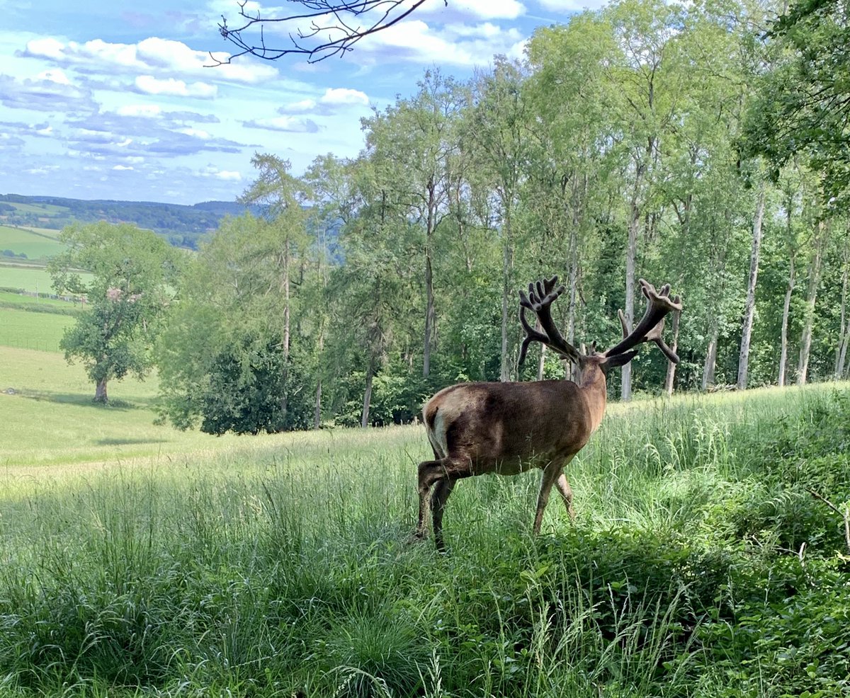 Webbers12's tweet image. Cracking day out @thenewtsomerset thanks for the recommendation @bradders137 🍏