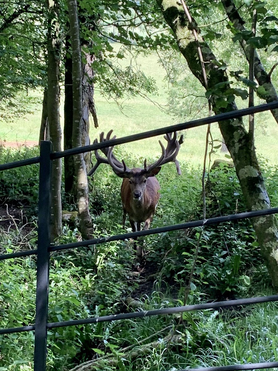 Webbers12's tweet image. Cracking day out @thenewtsomerset thanks for the recommendation @bradders137 🍏