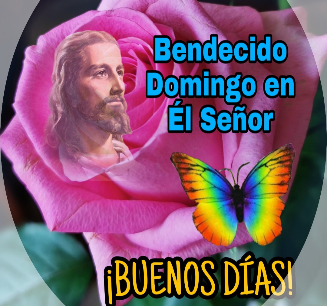 Besos para el Alma tweet media