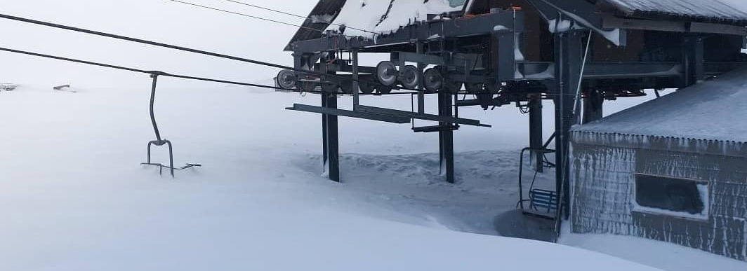 Funny Ski Masks tweet media
