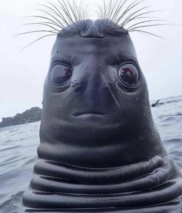 Deniiz191's tweet photo. Wenn du denkst du siehst heute clean aus und zu deinem Freund sagst „Bruder mach mal Foto sehe gut aus“ https://t.co/lpczfmNyw5
