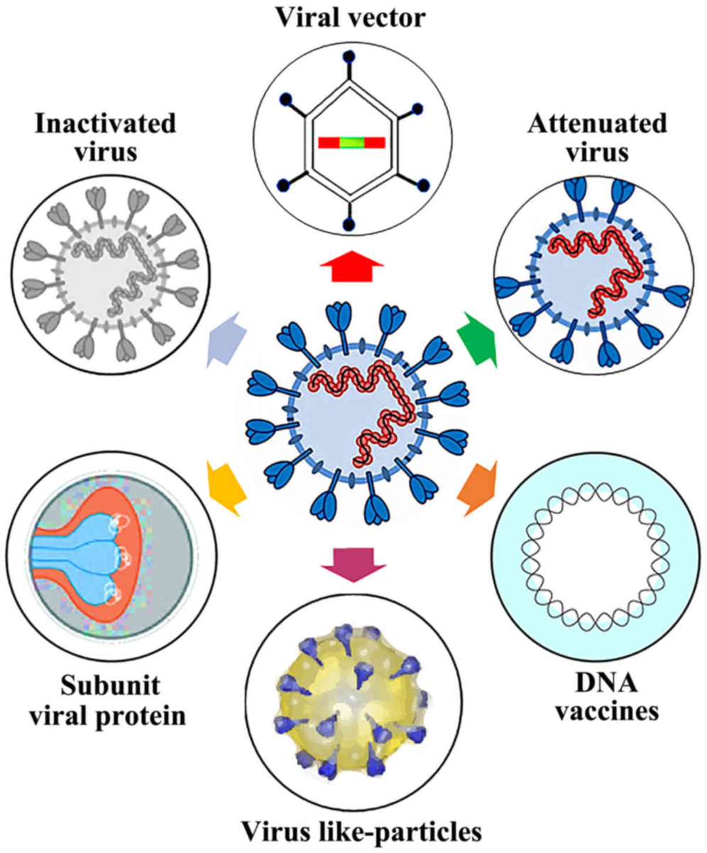 2. Evidence for Thesis AAre these "inserts" feasible via serial passage & selection of mutations?Virus-like particles-universal molecular toolboxes https://europepmc.org/article/pmc/pmc7126091Lentiviral Protein Transfer Vectors Are an Efficient Vaccine Platform (using HIV) https://jvi.asm.org/content/89/17/9044
