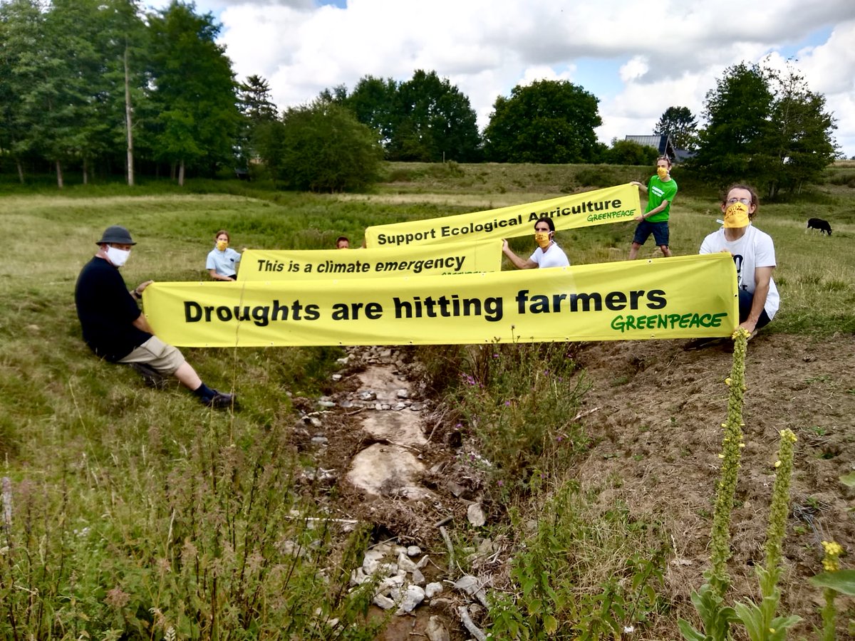 greenpeace_be's tweet photo. Today our local group #GreenpeaceLimburg went on the road and witnessed the severe #droughts in Limburg. 
Even though it rained a lot the past few weeks, the structural drought problem can't be solved. Drastic measures are needed!
Take action and sign our #petition 👉Link in bio https://t.co/6zM7kL1Yp8