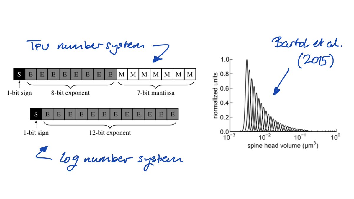 Madam (multiplicative adam) needs little to no learning rate tuning and brings the numerical representation of the synapse closer to neuroscience.

w/ <a href="/jiawzhao/">Jiawei Zhao</a>, <a href="/mameister4/">Markus Meister</a>, <a href="/liu_mingyu/">Ming-Yu Liu</a>, <a href="/AnimaAnandkumar/">Prof. Anima Anandkumar</a> &amp; <a href="/yisongyue/">Yisong Yue</a>
 
paper: arxiv.org/abs/2006.14560
code: github.com/jxbz/madam