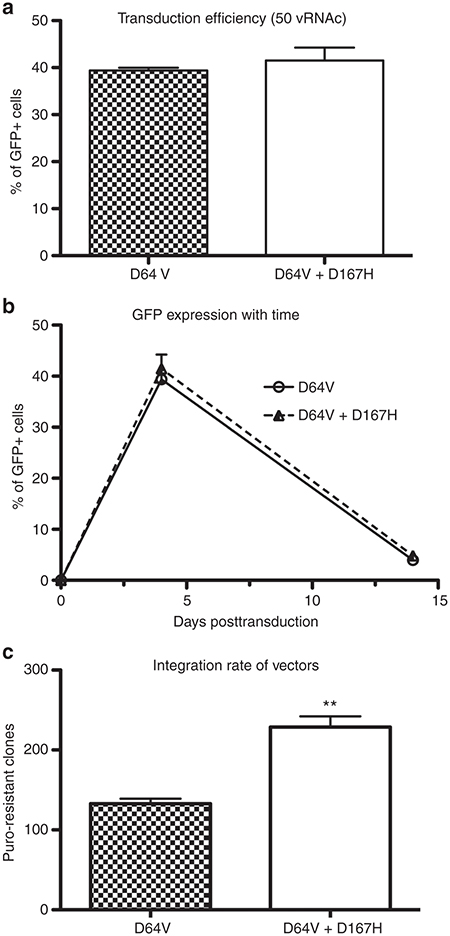 6. Currently, HIV-1 derived vectors are considered the most efficient ones for gene transduction in mammalian tissues.Here, they carry out vector genome insertion into host cell chromatin but integration in transcribed genes raises several safety issues https://researchgate.net/publication/269099221_Comparison_Between_Several_Integrase-defective_Lentiviral_Vectors_Reveals_Increased_Integration_of_an_HIV_Vector_Bearing_a_D167H_Mutant