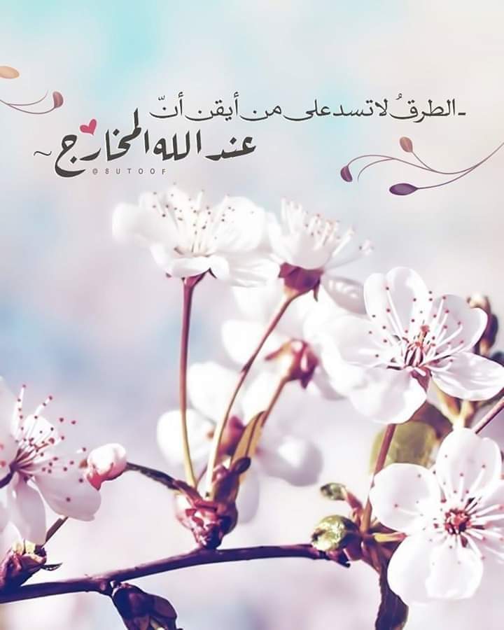 9CwhEWlFynAYGzD's tweet photo. نحنُ قومٌ إذا ضاقَت بِنَا الدُّنيا ؛ اتّسعت لنا السَّماءُ
 فـ كيفَ نَيأس ....!!!
💙💙 💙

#MSc_PhD_without_work https://t.co/aNjoVSwt16

#علماء_مصر_العاطلين_يستغيثون https://t.co/6viS1LVP62