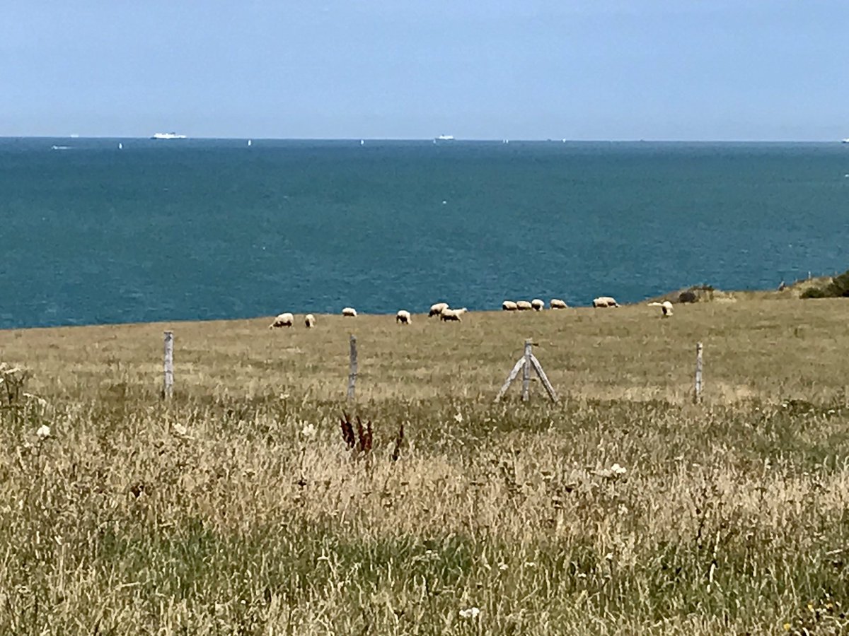 histgeoblog's tweet photo. #CapBlancNez #CapGrisNez #Wissant #Entre2Caps #PasDeCalais https://t.co/4mqe4FLOWP