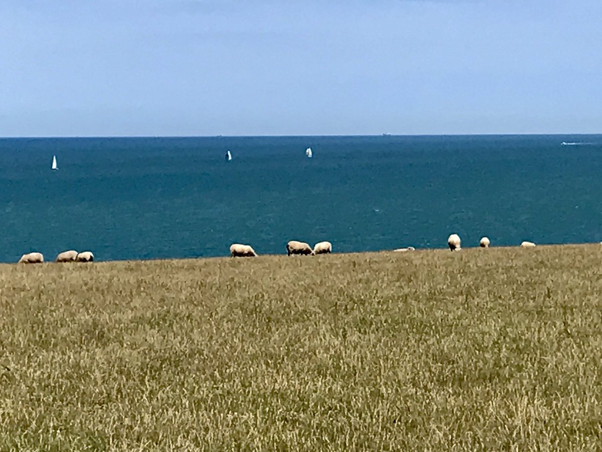 histgeoblog's tweet photo. #CapBlancNez #CapGrisNez #Wissant #Entre2Caps #PasDeCalais https://t.co/4mqe4FLOWP