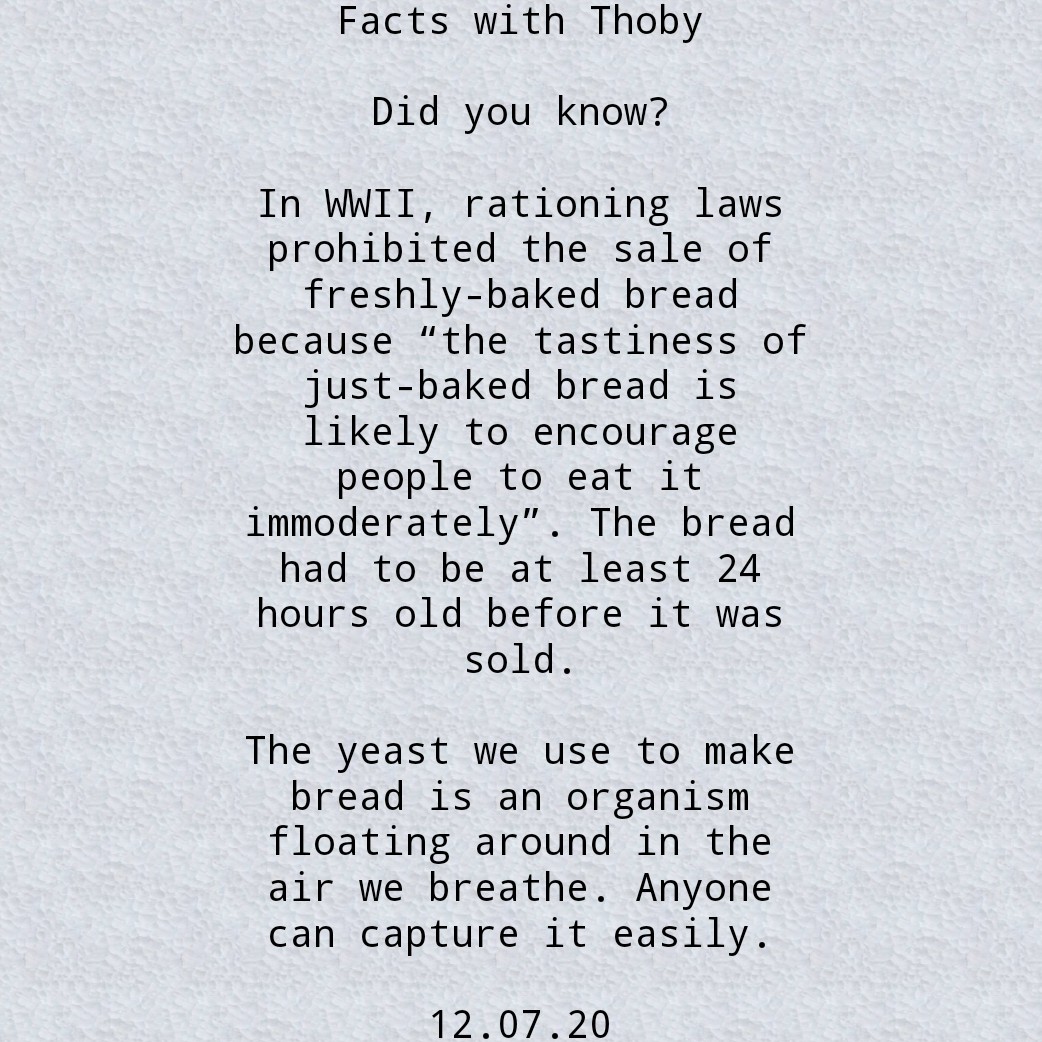 Holuwathoby's tweet photo. #BreadFacts
#FactsWithThoby https://t.co/GkQcHygqkQ