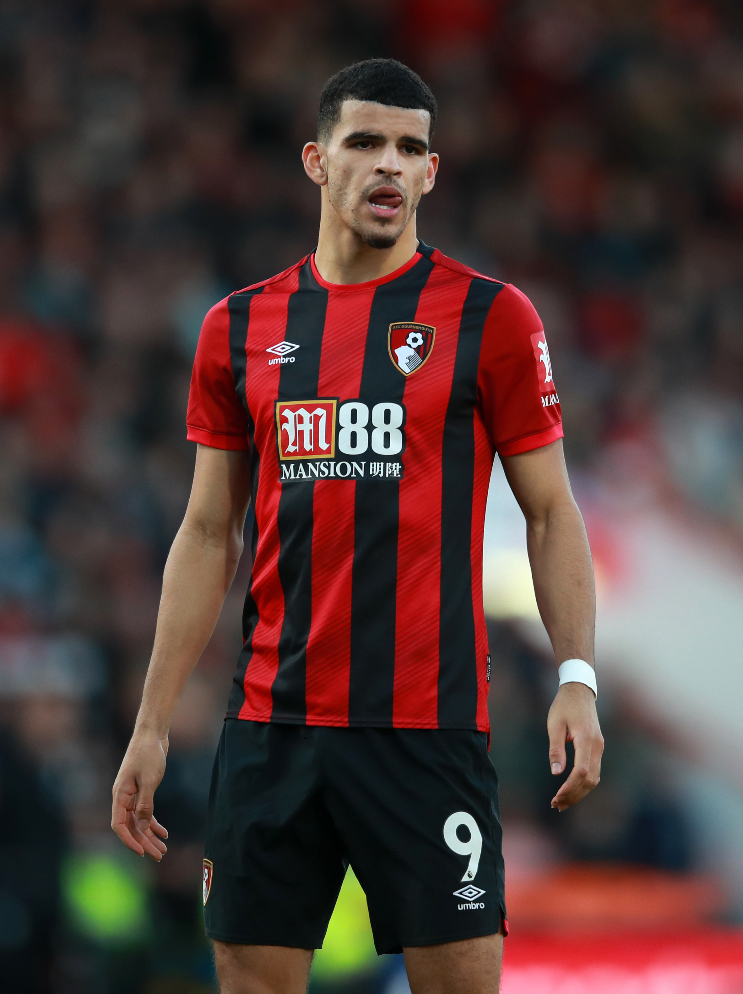Afc on sale bournemouth twitter