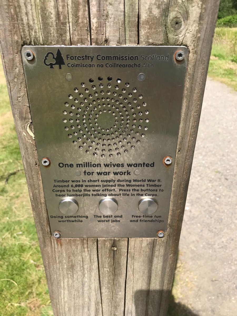 MeachRachel's tweet photo. Oral history in the Trossachs 😍😍😍 #lumberjills #timbercorps #trossachs #oralhistory https://t.co/xslKqocIop