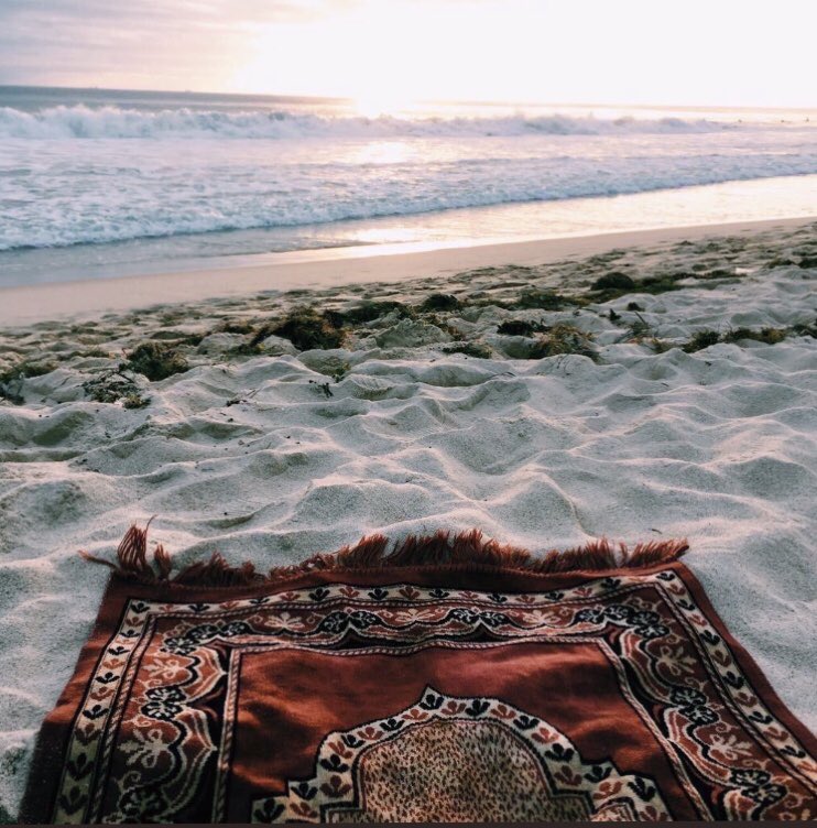 #يا_تارك_الصلاه_ابشر_بالعقاب

قد ترحل مِن هذِهِ الدُنيا الفانية في ثواني وتندم أنكَ كُنتَ لا تُؤدي الصلوات الخمس التي لا تُؤخذ مِن وقتكَ سوى دقائِق معدودة ؛ مهما قصرت لا تترُك الصلاة فهيَ عمُود الدين .