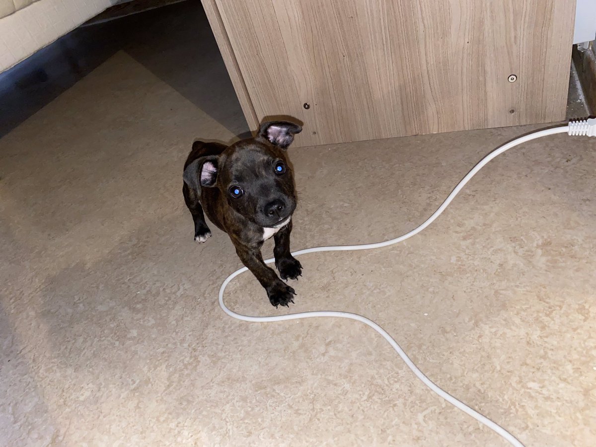 naarcoco's tweet image. Je c’est que je suis plus du tout actif en se moment mais voici un événement qui va changer ma vie ! Je vous présente R’Kana 😍